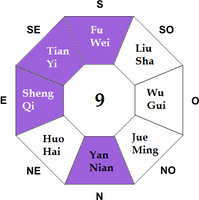 Feng Shui Ming Gua 9