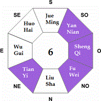 Feng Shui Ming Gua 6