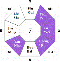 Feng Shui Ming Gua 7