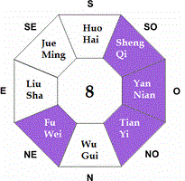 Feng Shui Ming Gua 8