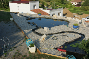 Feng Shui traditionnel - dragon de l'eau