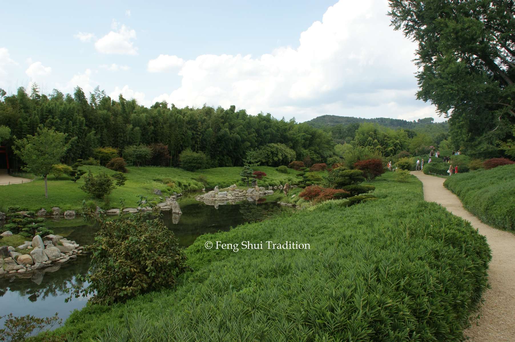 Le Feng shui et l’environnent 